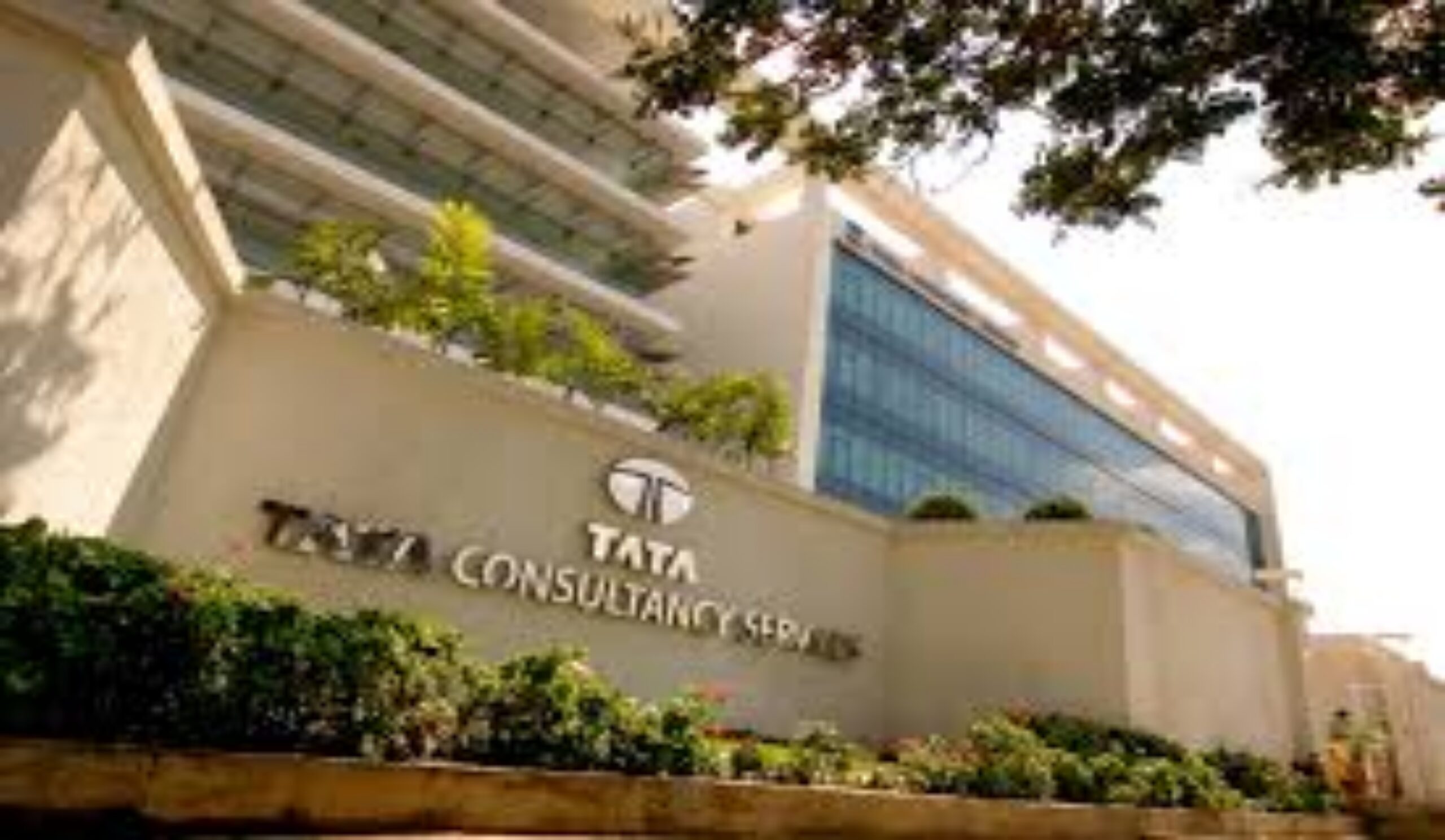 Strategies for Securing Employment at TCS | Achieve Your Ideal Position at TCS.