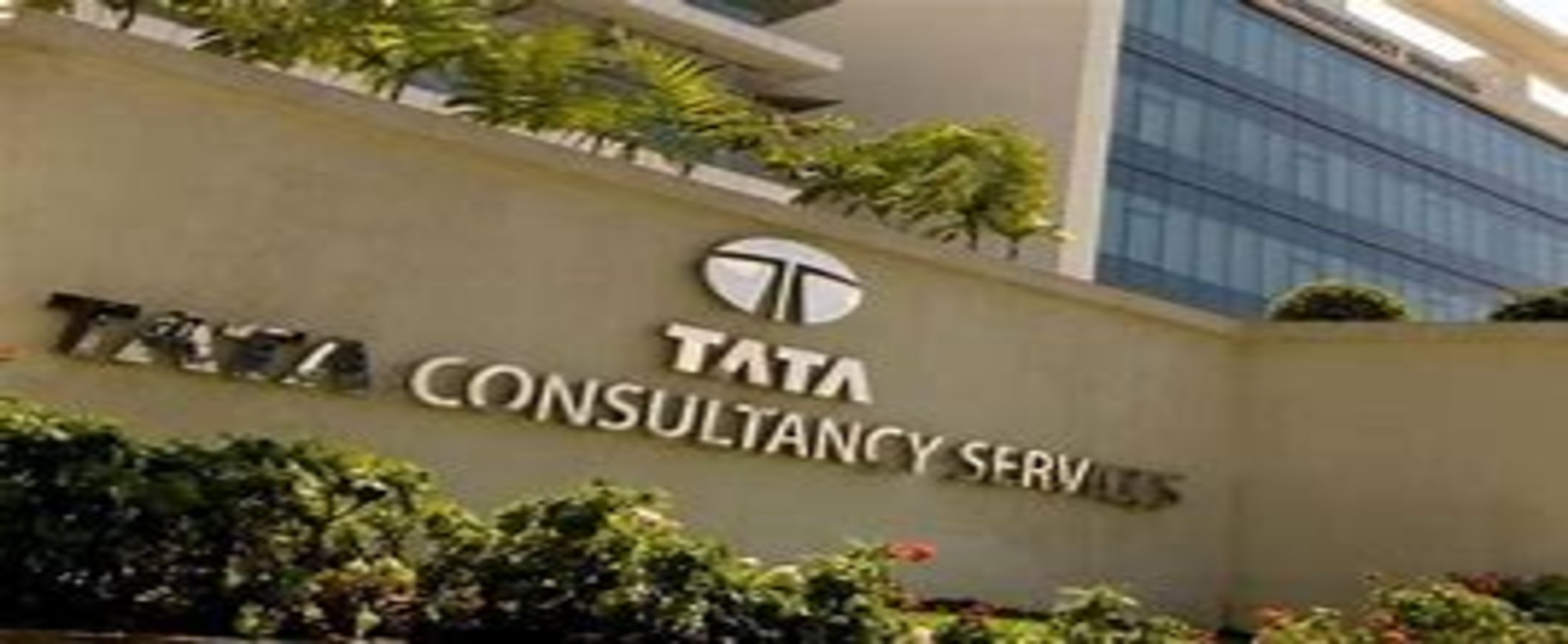 TCS Walk-In Interview Drive - Jan 2025