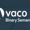 Vaco Binary Semantics Hiring | Manual Testing Engineer